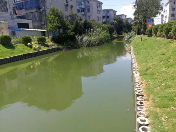 1594366341836882.jpg 6eLWVCDRsVznvFZm4OhNdEYBaOzz2dBANmbdyH9M5Y8JD1551948031138compressflag.jpg