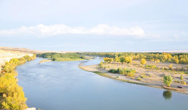 1596784486128923.jpg 2020_0731_38a2e918j00qebnmx0022d000s600hlp.jpg