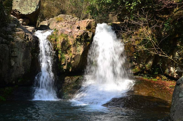 1597302707381218.jpg timg.jpg