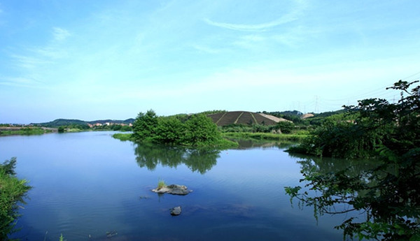 1607670170397355.jpg timg (1).jpg