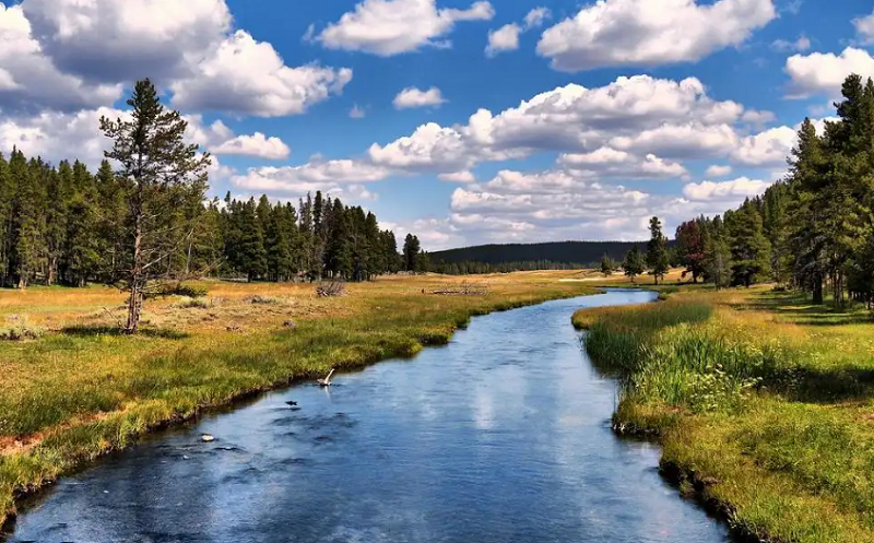 1733299471765793.png 圖片1.png